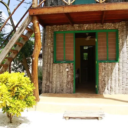 Demani Lodge Zanzibar Paje Exterior photo